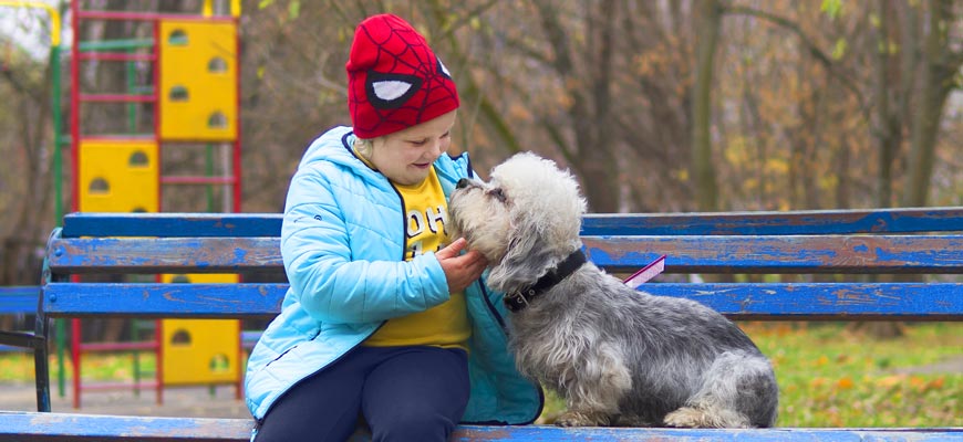 Юному владельцу собаки